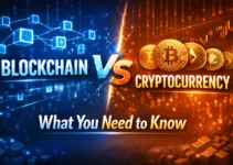 Blockchain vs Cryptocurrency: What You Need to Know